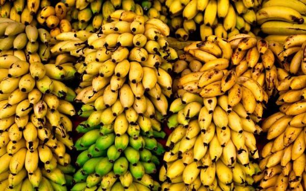 موز,هزار تُن موز و سیب در معرض فساد بخاطر اختلال در سامانه گمرکی