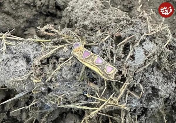 کلاغ طلایی,کشف کلاغ طلایی