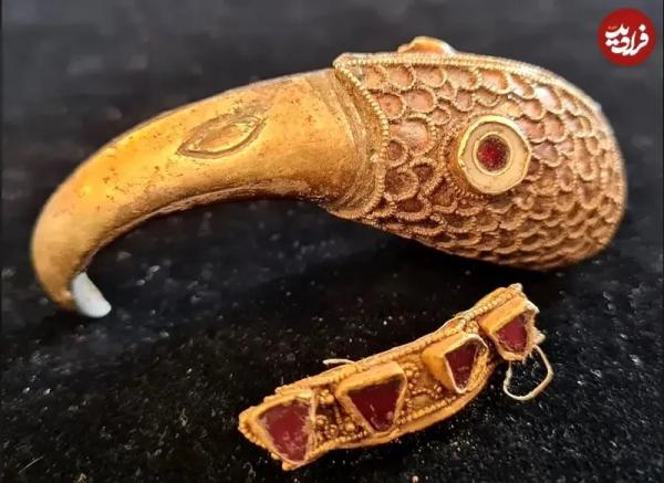 کلاغ طلایی,کشف کلاغ طلایی