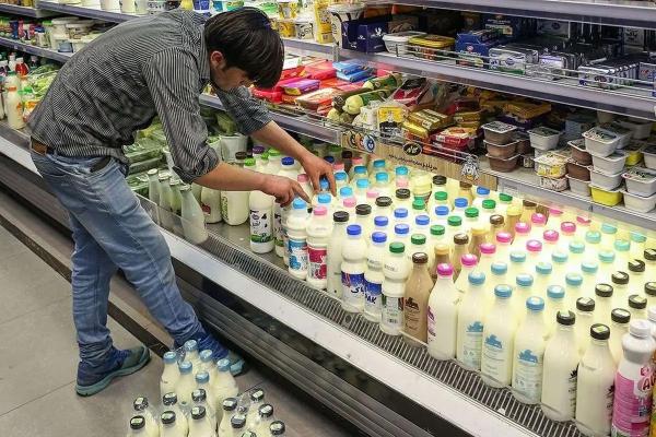 لبنیات لبنیات,قیمت لبنیات