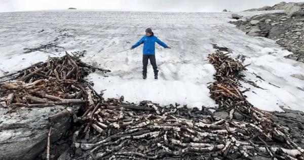 تلۀ گوزن تلۀ گوزن,کشف تلۀ گوزن