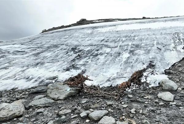 تلۀ گوزن تلۀ گوزن,کشف تلۀ گوزن