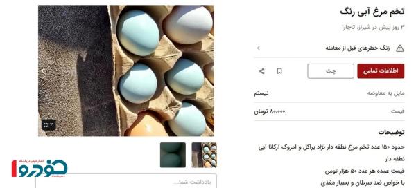 تخم مرغ آبی تخم مرغ آبی,تخم مرغ لاکچری آبی