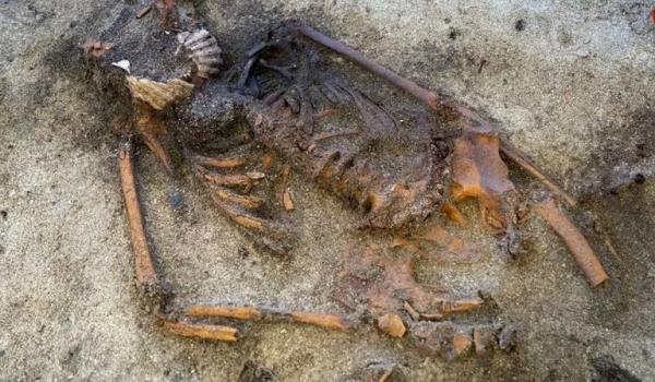 کشف مقبرۀ هزارسالۀ یک زن با صدفهایی در کنار دهان کشف مقبرۀ هزارسالۀ یک زن با صدفهایی در کنار دهان,مقبره باستانی