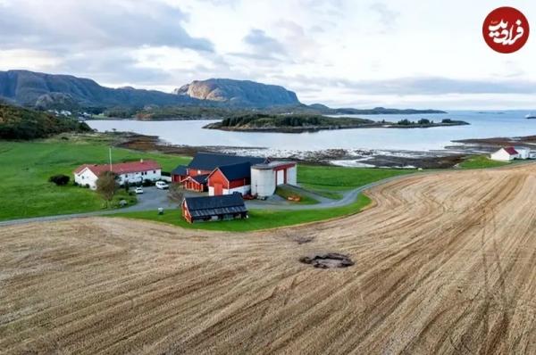 کشف مقبرۀ هزارسالۀ یک زن با صدفهایی در کنار دهان کشف مقبرۀ هزارسالۀ یک زن با صدفهایی در کنار دهان,مقبره باستانی
