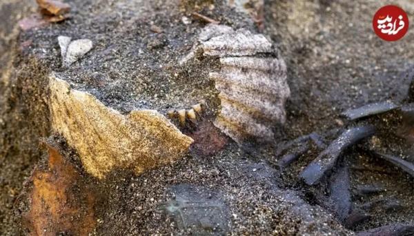 کشف مقبرۀ هزارسالۀ یک زن با صدفهایی در کنار دهان کشف مقبرۀ هزارسالۀ یک زن با صدفهایی در کنار دهان,مقبره باستانی