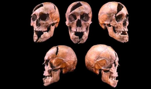 اسکلت اسکلت,افشای راز وحشتناک یک اسکلت 750 ساله