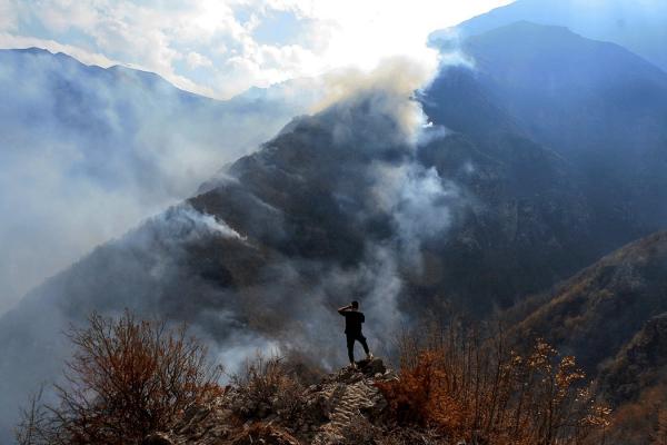 آتش سوزی جنگل آتش سوزی جنگل,آتش گرفتن مناطق حفاظت شده چهارباغ