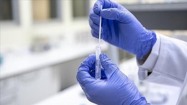 آنفلوآنزا,افزایش شدید مبتلایان به آنفلوآنزا در کره جنوبی و ژاپن