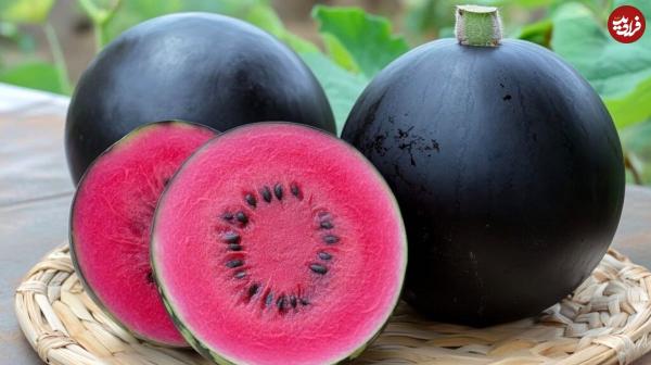 میوه میوه,گرانترین میوههای جهان