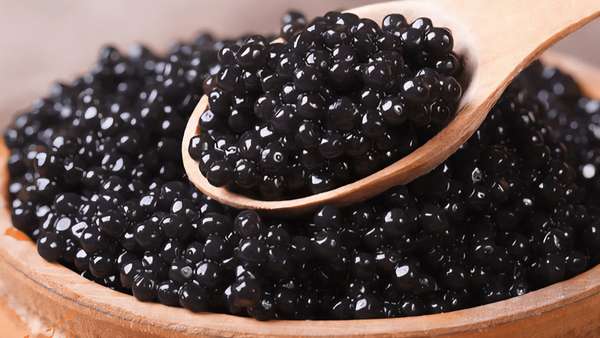 خاویار خاویار,ماهی نر خاویاری