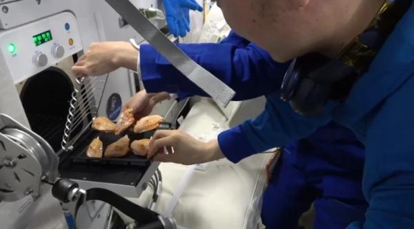 پختن بال در فضا پختن بال در فضا,بال پختن در فضا توسط فضانوردان چینی