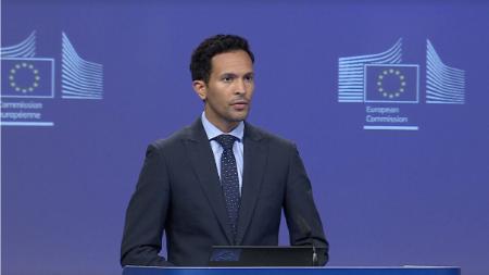 سخنگوی ارشد اتحادیه اروپا ,قطعنامه‌های شورای امنیت سازمان ملل متحد