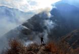 آتش سوزی جنگل,آتش گرفتن مناطق حفاظت شده چهارباغ