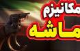 روزنامه شرق: روسیه و چین تا کجا پای اجرا نشدن اسنپ بک، همراه ایران میمانند؟ مکانیسم ماشه,روسیه و چین در کنار ایران