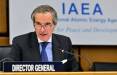 رافائل گروسی,مدیرکل آژانس بین‌المللی انرژی اتمی