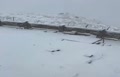 فیلم | بارش برف در برخی از شهرهای ایران (24 آبان 1404)