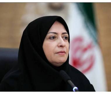 شینا انصاری,رئیس سازمان محیط زیست