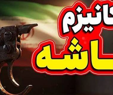 مکانیسم ماشه,روسیه و چین در کنار ایران