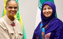 شینا انصاری,رئیس سازمان محیط زیست