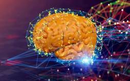 دانشمندان راهی برای تبدیل افکار به متن با اسکن MRI پیدا کردند مغز,تبدیل افکار به متن با اسکن MRI