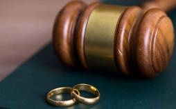 مهریه,کلیات طرح جدید مهریه