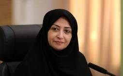 شینا انصاری,رئیس سازمان محیط زیست