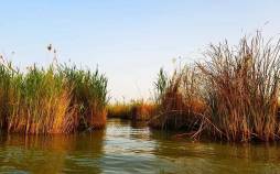 تالاب شادگان,خشک شدن تالاب شادگان