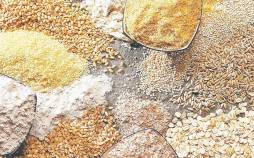 دانه روغنی,گرانی افسارگسیخته دانه‌های روغنی