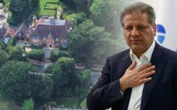 علی انصاری,امپراتوری علی انصاری در لندن