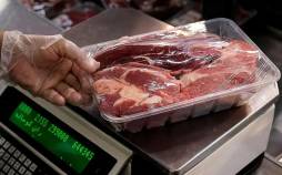 رئیس شورای تأمین دام: مردم دیگر توان خرید گوشت قرمز را ندارند گوشت قرمز,قدرت خرید مردم در ایران