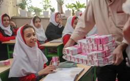 شیر مدرسه,توزیع شیر در مدارس