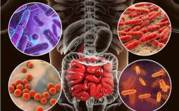 سلامت روده,چند عامل موثر بر سلامت روده