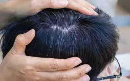 یافتهای جدید درباره سفید شدن مو سفیدی مو,یافتهای جدید درباره سفید شدن مو