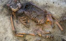 کشف مقبرۀ هزارسالۀ یک زن با «صدفهایی در کنار دهان» کشف مقبرۀ هزارسالۀ یک زن با صدفهایی در کنار دهان,مقبره باستانی