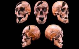 افشای راز وحشتناک یک اسکلت 750 ساله اسکلت,افشای راز وحشتناک یک اسکلت 750 ساله