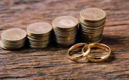 مهریه,حذف عدد ۱۴ سکه از قانون مهریه