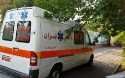 آمبولانس,سرقت از آمبولانس در حین نجات یک بیمار قلبی در پایتخت