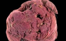 کشف «رنگ تقلبی» 2 هزارساله مربوط به دوران روم باستان رنگ تقلبی,کشف رنگ تقلبی باستانی