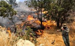 جنگل,آتش سوزی مهار نشده در جنگل های هیرکانی