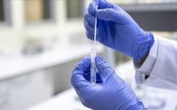 آنفلوآنزا,افزایش شدید مبتلایان به آنفلوآنزا در کره جنوبی و ژاپن