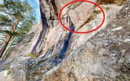 کشف «نقاشیهای 5 هزارساله» بر روی یک دیوارۀ صخرهای در جنگل نقاشی باستانی,نقاشیهای 5 هزارساله