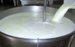 شیر خام 30 درصد گران شد شیر خام,قیمت شیر خام