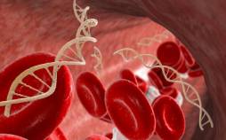 دانشمندان DNA زائد را به سلاح قاتل سرطان تبدیل میکنند سلاح قاتل سرطان,تبدیل DNA به دارویی برای سرطان
