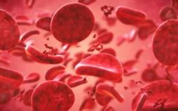 «نادرترین» گروه خونی جهان کشف شد نادرترین گروه خونی,کشف نادرترین گروه خونی