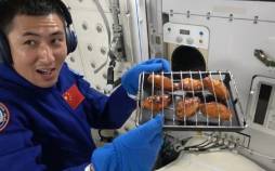 چینیها در فضا بال مرغ سوخاری پختند! پختن بال در فضا,بال پختن در فضا توسط فضانوردان چینی