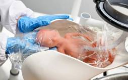 ابداع رحم مصنوعی برای نوزادان زودرس رحم مصنوعی,ابداع رحم مصنوعی برای نوزادان زودرس