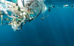 کشف موجوداتی که زبالههای انسان را میبلعند موجودات دریایی,کشف موجودات دریایی برای خوردن زبالههای انسان