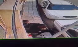 فیلم | خفت و زورگیری موبایل کودکان در خیابان طبرسی مشهد