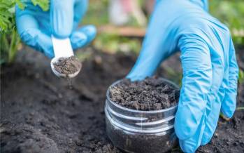 آنتی‌بیوتیک,کشف آنتی‌بیوتیک با توانایی نابودی مقاوم ترین باکتری ها